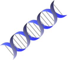 DNA